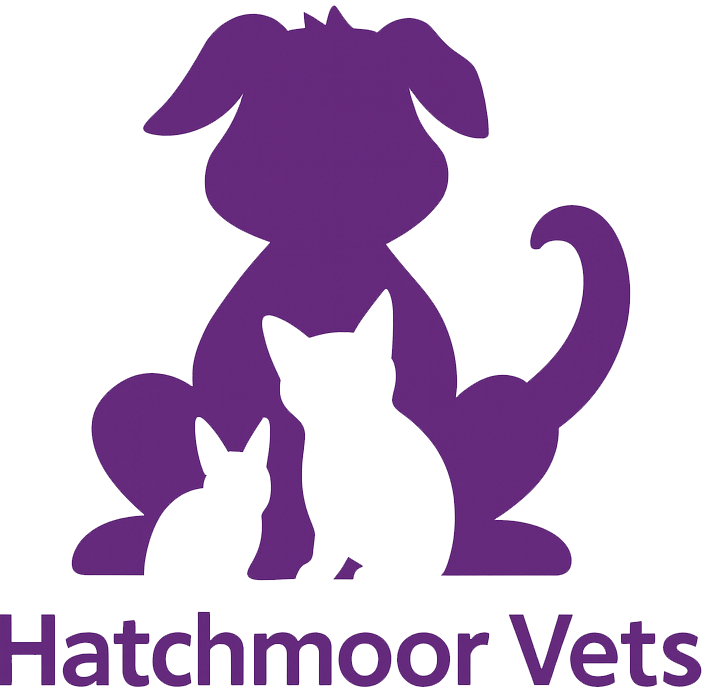 Hatchmoor Small Animal Vets In Torringon